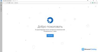 Спутник / Браузер — Главный экран