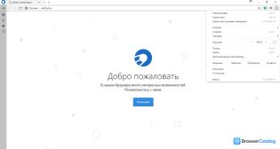 Спутник / Браузер — Меню браузера