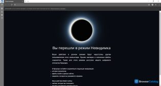 Спутник / Браузер — Режим Невидимка