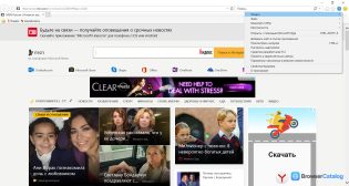 Internet Explorer — Меню браузера