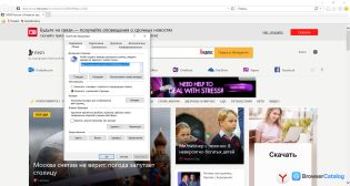 Internet Explorer — Свойства браузера