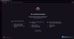 Opera GX — Приватный режим
