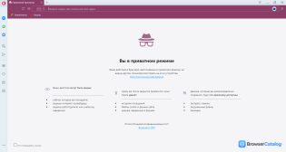 Браузер Опера — Режим инкогнито